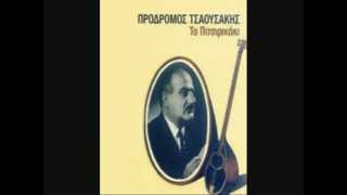 Το πιτσιρικάκι  Πρόδρομος Τσαουσάκης με στίχους [upl. by Ardnuhsed386]