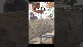 proses Penggergajian kayu keruing kapur sawmill [upl. by Ricca]