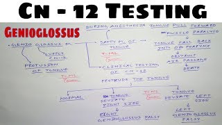 Hypoglossal Nerve Testing  Safety Muscle of Tongue  The Charsi of Medical Literature [upl. by Latreshia]