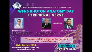 WFNS Rhoton Anatomy Day Peripheral Nerve [upl. by Gnap]