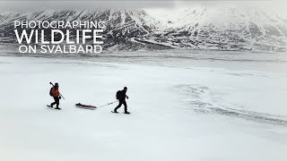 Wildlife Photography on Svalbard part 1  Behind the scenes winter adventure Thomas Heaton cabin [upl. by Ahsoet915]