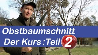 Obstbaumschnitt Der Kurs  Obstbaum schneiden Schritt für Schritt erklärt  Teil 2 [upl. by Nosilla]