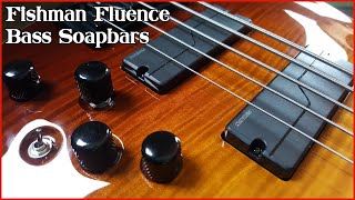 Fishman Fluence Bass Pickups  Demo and Review [upl. by Chapen]