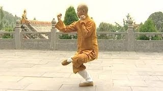 Shaolin Kung Fu Combat Styles 15 small Buddha form 小罗汉拳 xiao luohan quan [upl. by Ignaz]