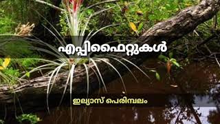 എപ്പിഫൈറ്റുകൾ I Epiphytes I ILLIAS PERIMBALAM I Science Malayalam [upl. by Boys]