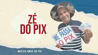 Zé Do Piix  Amor De Pix [upl. by Lody]