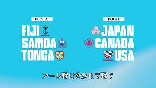 ラグビー パシフィックネーションズカップ2024  8月23日開幕 WorldRugby ラグビー日本代表 [upl. by Ellierim425]