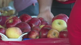 Weston Missouri Applefest returns this weekend [upl. by Esej607]