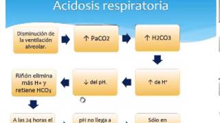 Acidosis y Alcalosis [upl. by Ihcego744]