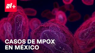 Mpox en México ¿Cuántos nuevos casos se han reportado  Despierta [upl. by Finella903]