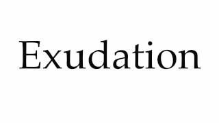 How to Pronounce Exudation [upl. by Brad630]