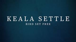 Keala Settle  Bird Set Free Sia Cover [upl. by Ecinnej]