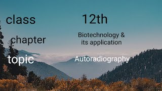 Autoradiography  class 12 biotechnology and its application [upl. by Girovard202]