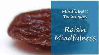 What A Raisin Can Teach You About Mindfulness Practice [upl. by Ledarf]