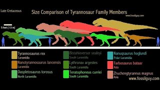 Tyrannosaurid family tree [upl. by Ferrell]