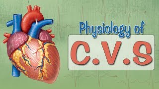 Easy Physiology  CVS  ECG 1Introduction amp ECG Leads [upl. by Inigo758]