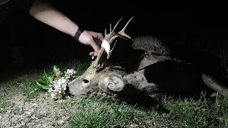 Otvaranje lova na Srndaća i Divlje Svinje u KnićuRoebuck and wildboar season open in Knić  E164 [upl. by Cherilyn]