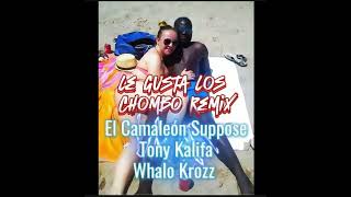 EL CAMALEÓN SUPPOSE amp TONY KALIFA  WHALO KROZZ  LE GUSTAN LOS CHOMBOS [upl. by Eibbil927]