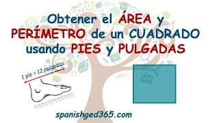 Pies y pulgadasperímetro de un rectángulo [upl. by Neeka128]