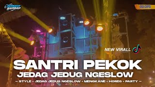 DJ SANTRI PEKOK JEDAG JEDUG NGESLOW VIRALL TIKTOK • BONGOBARBAR [upl. by Eninahpets]