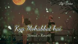 Kya Mohabbat Hai Kya Nazara Hai Slowed  Reverb  Jubin Nautiyal  Bhushan K [upl. by Wahlstrom]