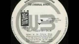 The Criminal Minds  Baptised By Dub Stereo [upl. by Hortense]