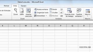 Excel  Como Fijar Filas en la Parte Superior Inmovilizar Filas o Columnas [upl. by Nitsuga731]