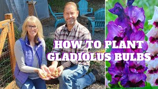 How to Plant Gladiolus Bulbs 🌿💚 [upl. by Hammad242]