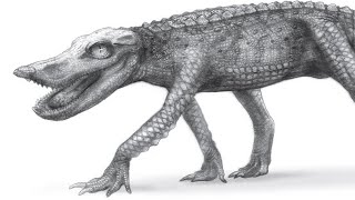 Anatosuchus The Prehistoric Duck Crocodile [upl. by Petey192]