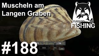 Muscheln am Langen Graben 🎣 🐋  Russian Fishing 4 188  Deutsch  UwF [upl. by Uball]