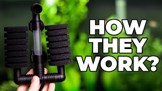 How Do Sponge Filters Work [upl. by Stern]