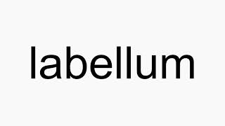 How to pronounce labellum [upl. by Staten475]