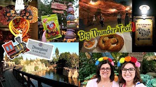 NEW DISNEY RAILROAD amp BIG THUNDER TRAIL  Disneyland Vlog 47 [upl. by Toft393]