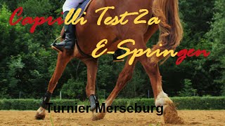 Caprilli Test 2a amp ESpringen  Turnier Merseburg [upl. by Atsyrt]