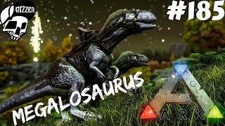 🦕 ARK Survival Evolved  Megalosaurus  Oswajanie śpiącego drapieżnika 185 [upl. by Azmah]