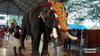 വെള്ളംകുടി കഴിഞ്ഞിട്ടുമതി ബാക്കി എഴുന്നള്ളത്ത് 🤣🥰  ഈരാറ്റുപ്പേട്ട അയ്യപ്പൻ  Erattupetta Ayyappan [upl. by Lennod]