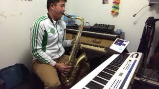 Yamaha YTS21 Tenor Saxophone Sound Check [upl. by Sivlek279]