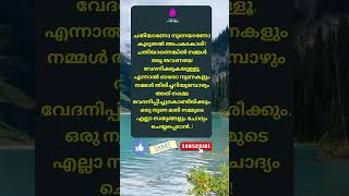 Motivational quotes Malayalam motivation Buddha quotes Relax and Smile [upl. by Ateuqirne]