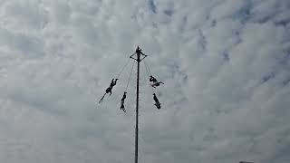 Feria Nacional de la Cultura Rural Chapingo 2024  Voladores de Papantla [upl. by Deaner83]