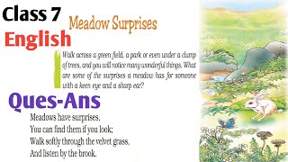 Meadow surprises poem questions answer  Class 7 English [upl. by Lonne]