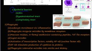 66P  Innate Immunity Epithelial barriers Phagocytes Complement system [upl. by Alwitt]