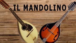 IL MANDOLINO [upl. by Hengel]