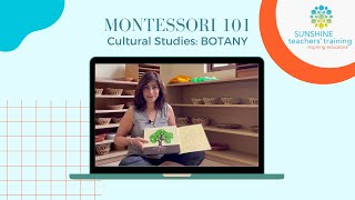 Montessori 101  Botany [upl. by Ppik]