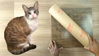 COMO FAZER ARRANHADOR PARA GATO SIMPLES E BARATO PARA CANTO DO SOFA [upl. by Lepp6]