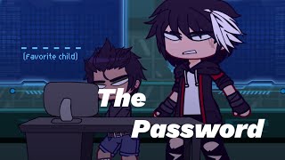 The Password Batfamily [upl. by Nehgem]