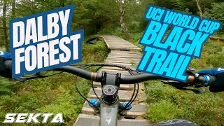 DALBY FOREST MTB💥UCI World Cup Black Trail [upl. by Binky813]