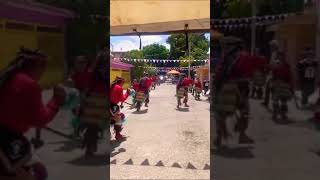 Danza “Divino Rostro” Col El Obispado Torreón Coah tradiciones danza devoción cultura fé [upl. by Nnybor]