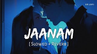 Jaanam Slowed  Reverb  Vishal Mishra  Bad Newz  Vicky Kaushal Triptii Dimri  SR Lofi [upl. by Noyart]