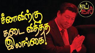 சீனாவிற்கு தடை விதித்த இலங்கை  Sri Lanka Tamil News Analysis  Thai Naadu [upl. by Laddy]