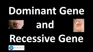 Dominant Gene and Recessive Gene  Genetics  Science [upl. by Tigges]